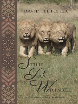 cover image of Strip Pan Wrinkle